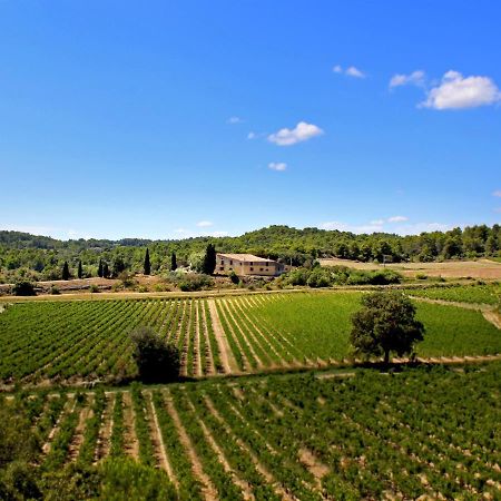 منزل الضيف Laure-Minervois  في Domaine De Palats المظهر الخارجي الصورة
