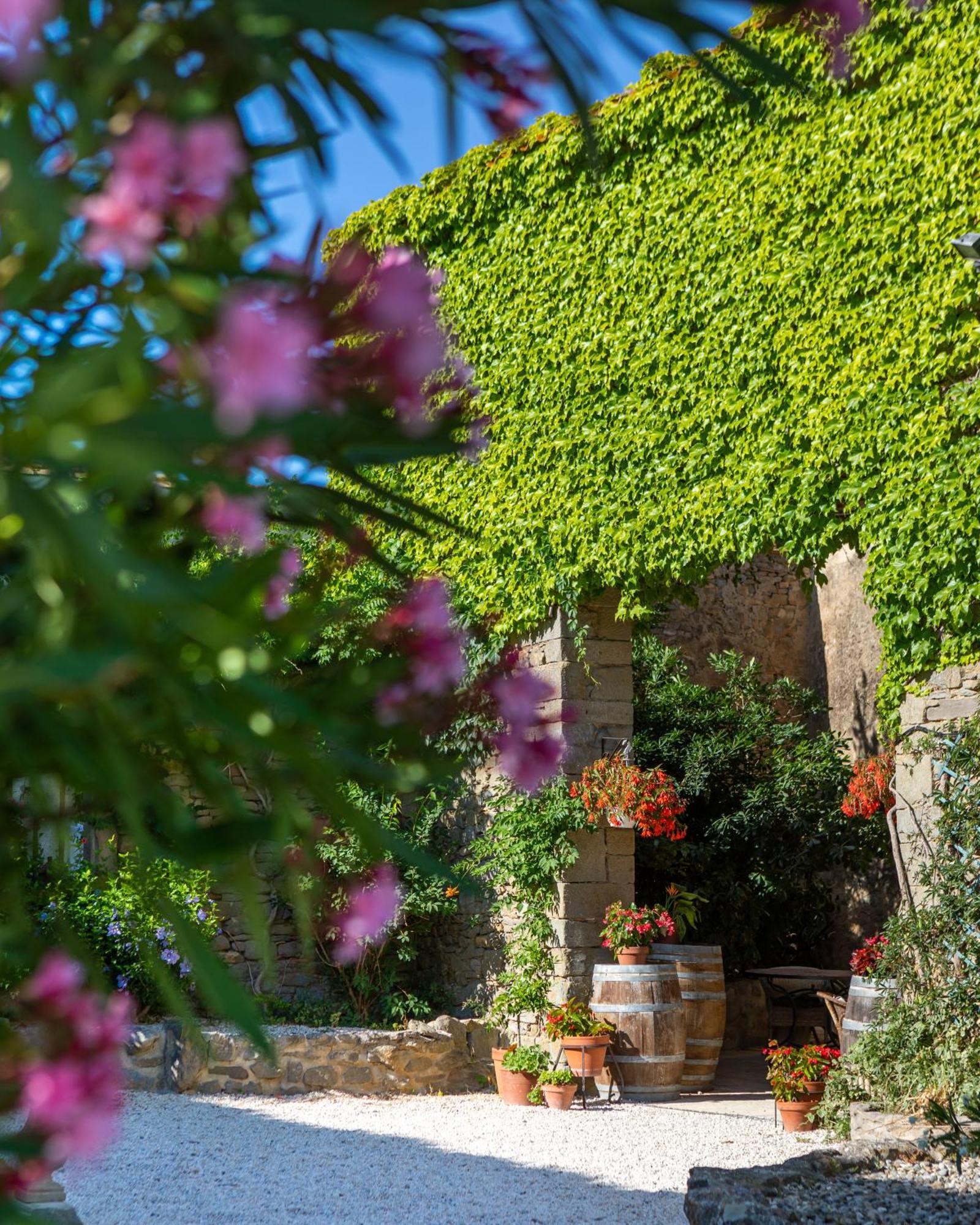 منزل الضيف Laure-Minervois  في Domaine De Palats المظهر الخارجي الصورة