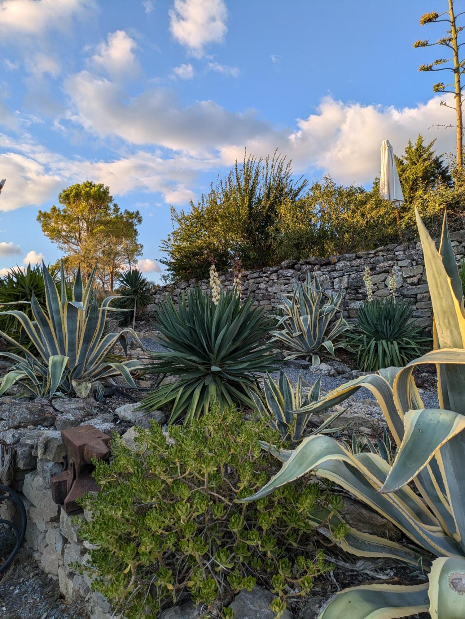 منزل الضيف Laure-Minervois  في Domaine De Palats المظهر الخارجي الصورة