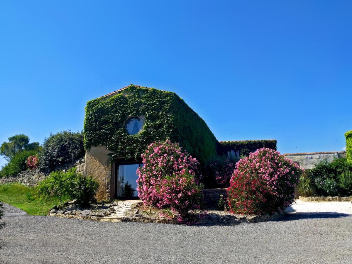 منزل الضيف Laure-Minervois  في Domaine De Palats المظهر الخارجي الصورة